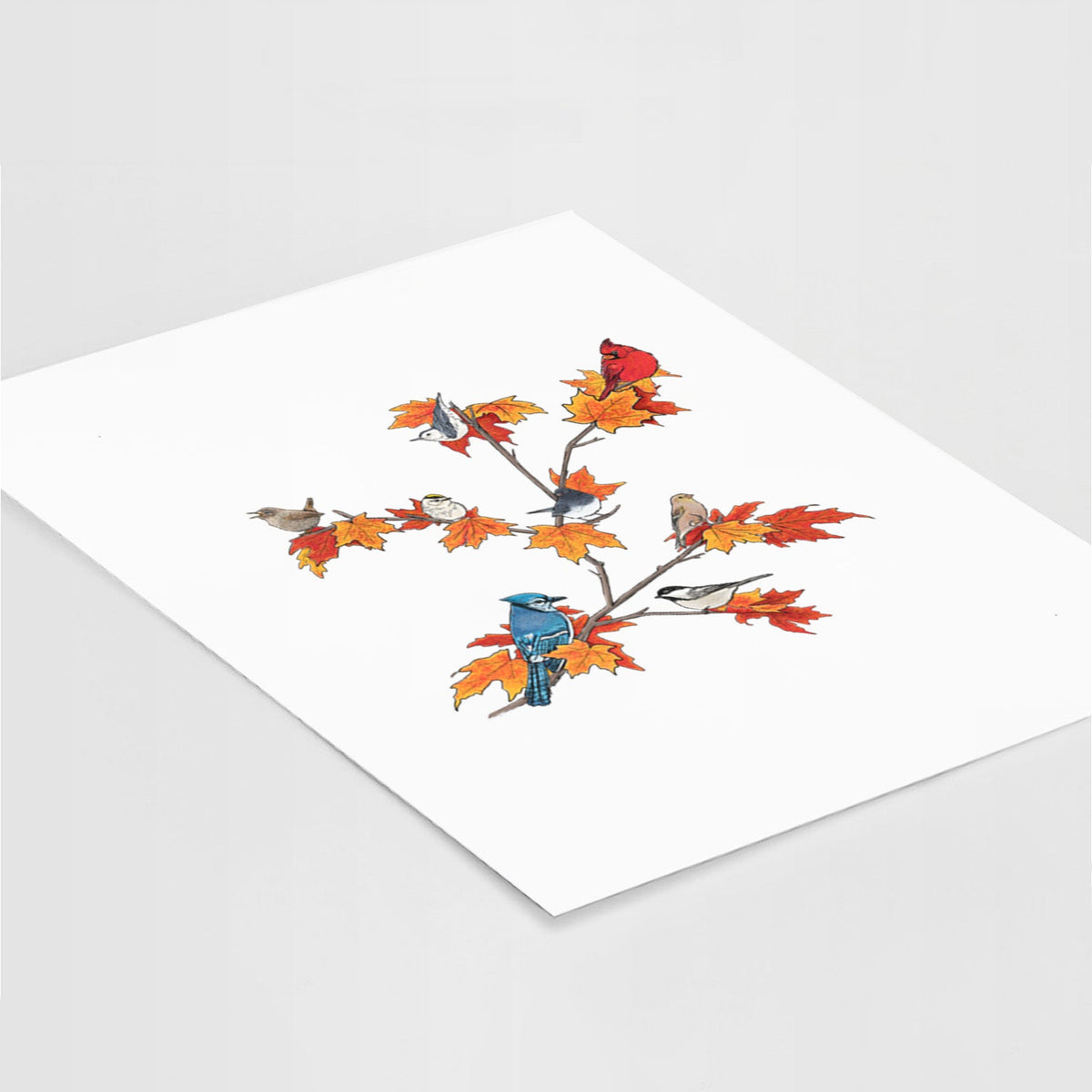 Autumn Backyard Birds - Fine Art Print