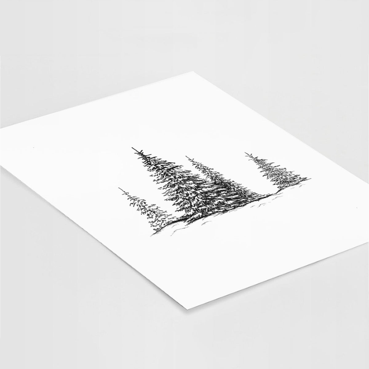 Frosted Evergreens - Fine Art Print