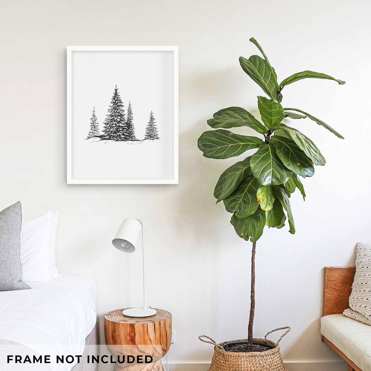 Frosted Evergreens - Fine Art Print