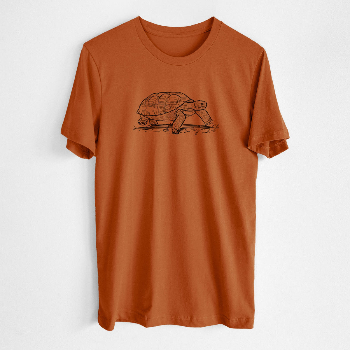 Gopher Tortoise - Gopherus polyphemus - Lightweight 100% Cotton Unisex Crewneck