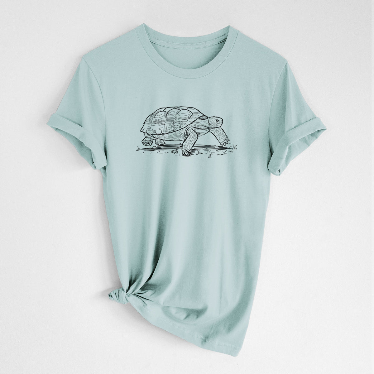 Gopher Tortoise - Gopherus polyphemus - Lightweight 100% Cotton Unisex Crewneck