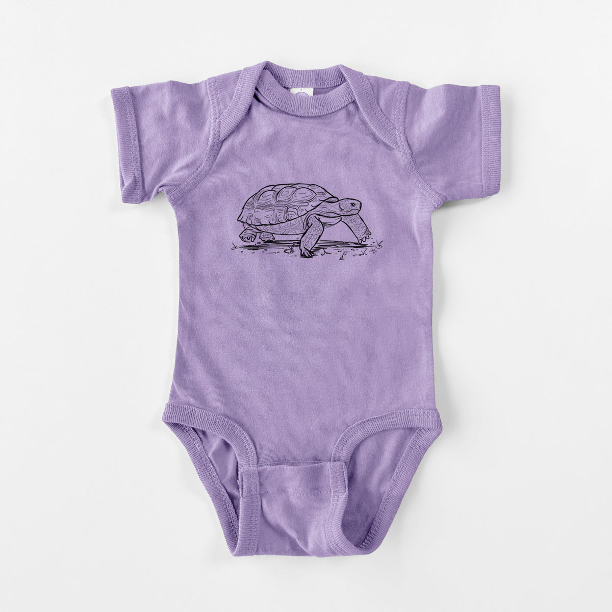 Gopher Tortoise - Gopherus polyphemus - Baby Fine Jersey Bodysuit