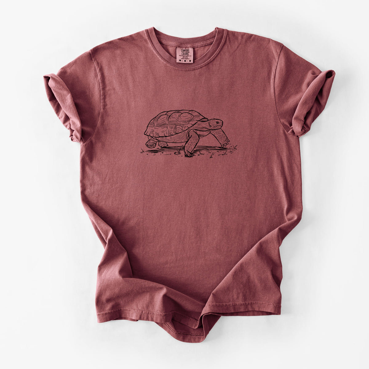 Gopher Tortoise - Gopherus polyphemus - Unisex Comfort Colors Garment-Dyed Heavyweight T-shirt
