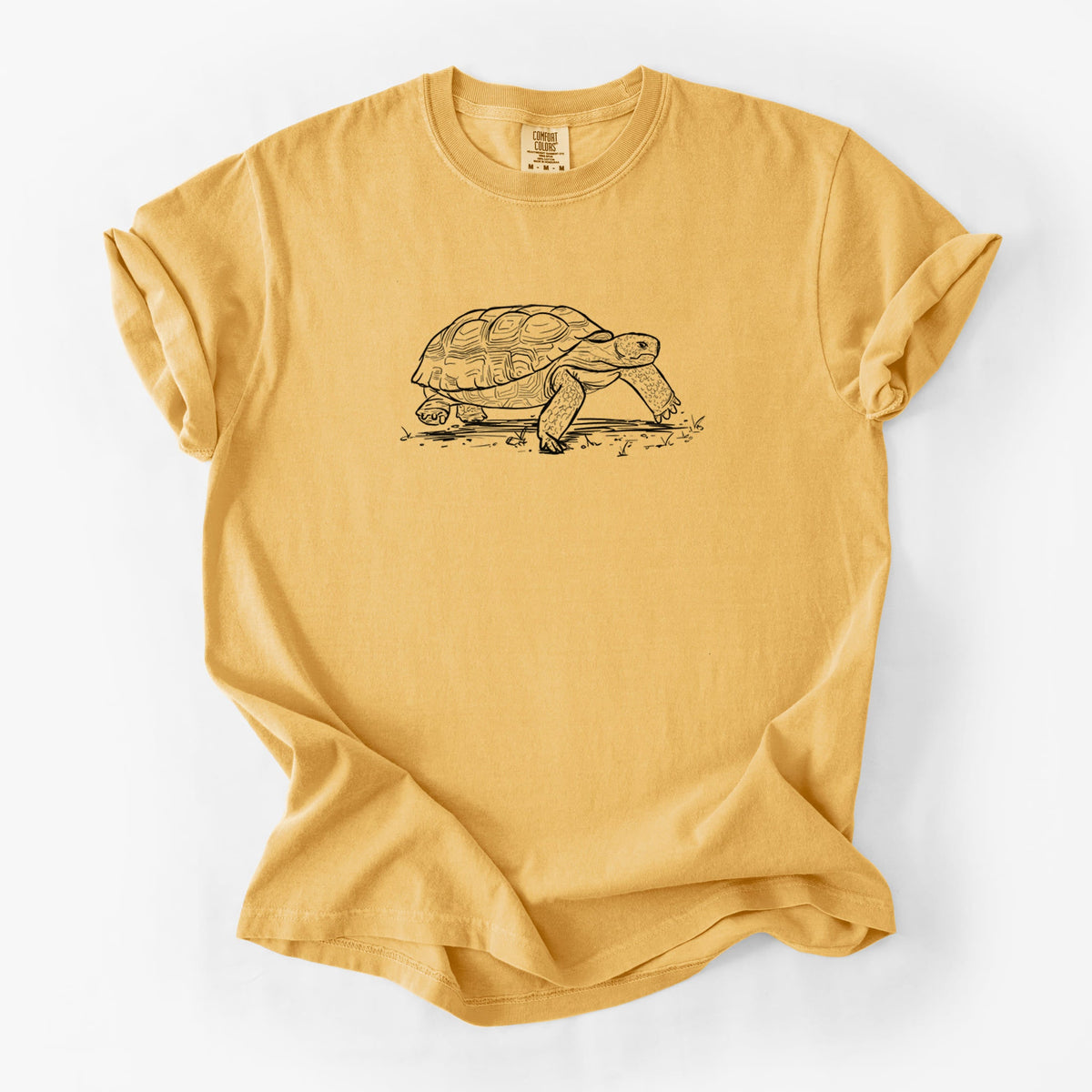 Gopher Tortoise - Gopherus polyphemus - Unisex Comfort Colors Garment-Dyed Heavyweight T-shirt