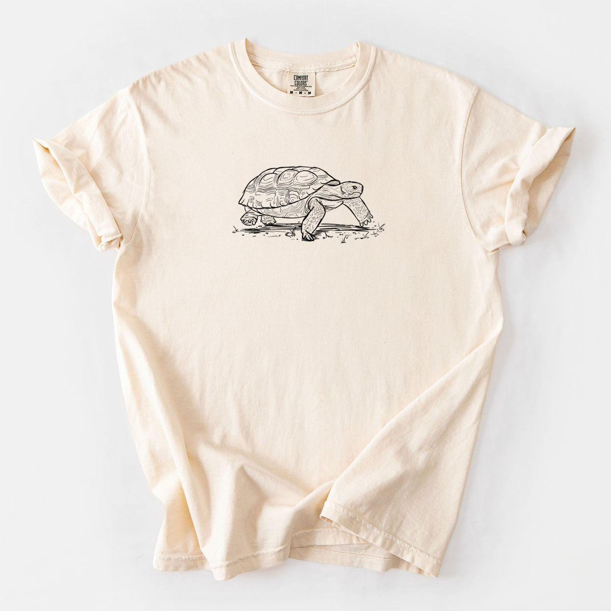 Gopher Tortoise - Gopherus polyphemus - Unisex Comfort Colors Garment-Dyed Heavyweight T-shirt