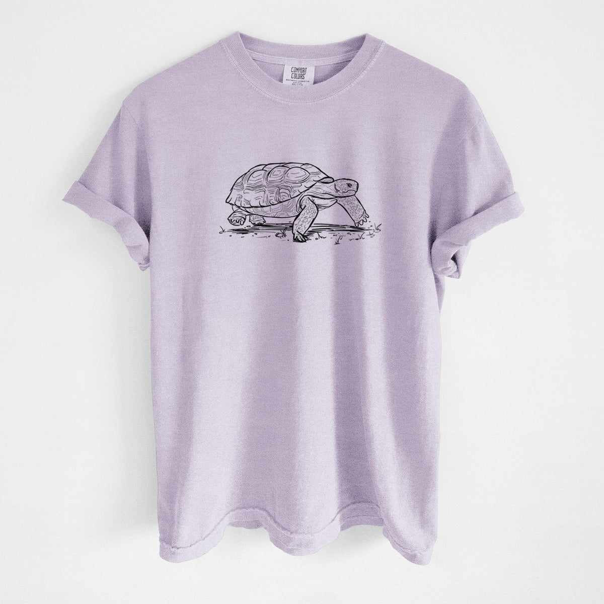 Gopher Tortoise - Gopherus polyphemus - Unisex Comfort Colors Garment-Dyed Heavyweight T-shirt