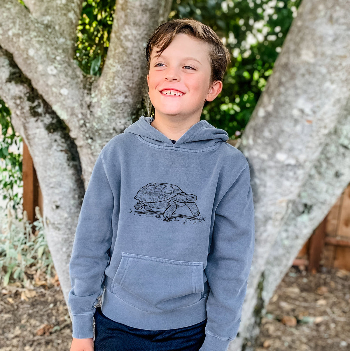 Gopher Tortoise - Gopherus polyphemus - Youth Pigment Dyed Hoodie