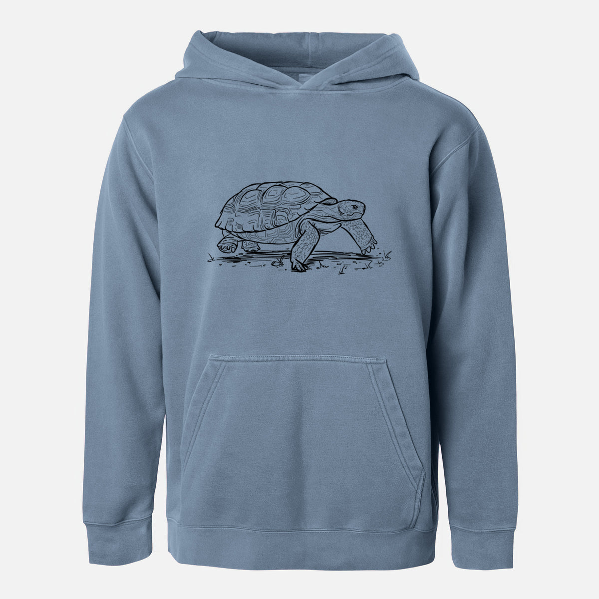 Gopher Tortoise - Gopherus polyphemus - Youth Pigment Dyed Hoodie