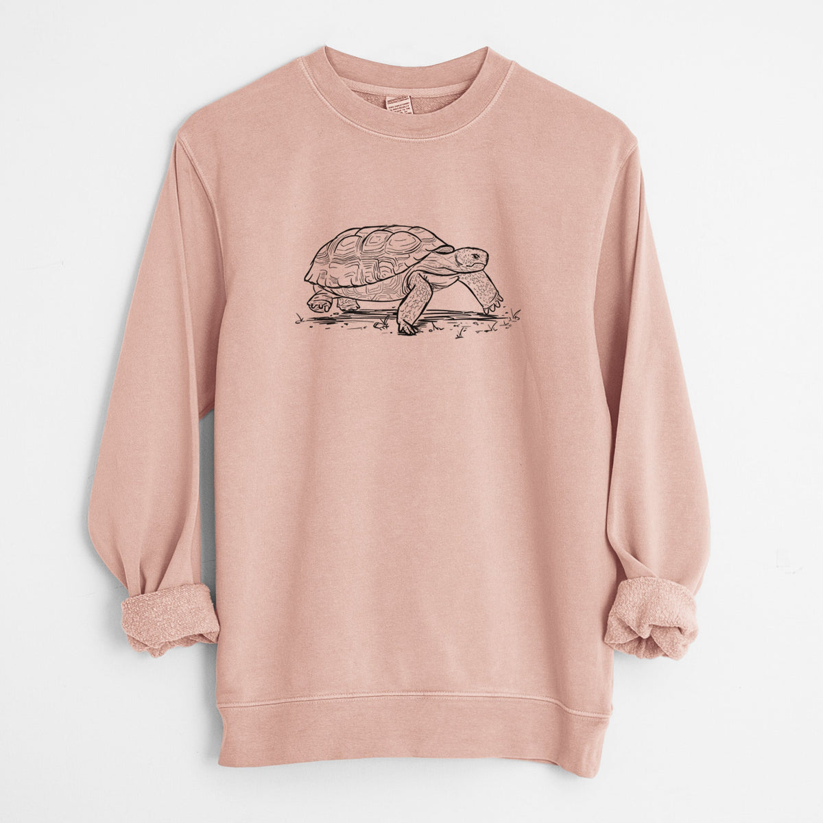 Gopher Tortoise - Gopherus polyphemus - Unisex Pigment Dyed Crew Sweatshirt