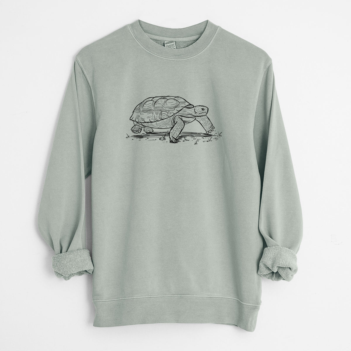 Gopher Tortoise - Gopherus polyphemus - Unisex Pigment Dyed Crew Sweatshirt