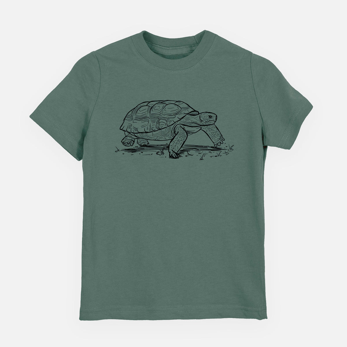 Gopher Tortoise - Gopherus polyphemus - Toddler/Youth Shirt