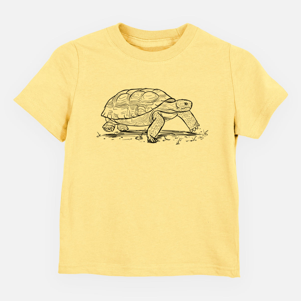 Gopher Tortoise - Gopherus polyphemus - Toddler/Youth Shirt