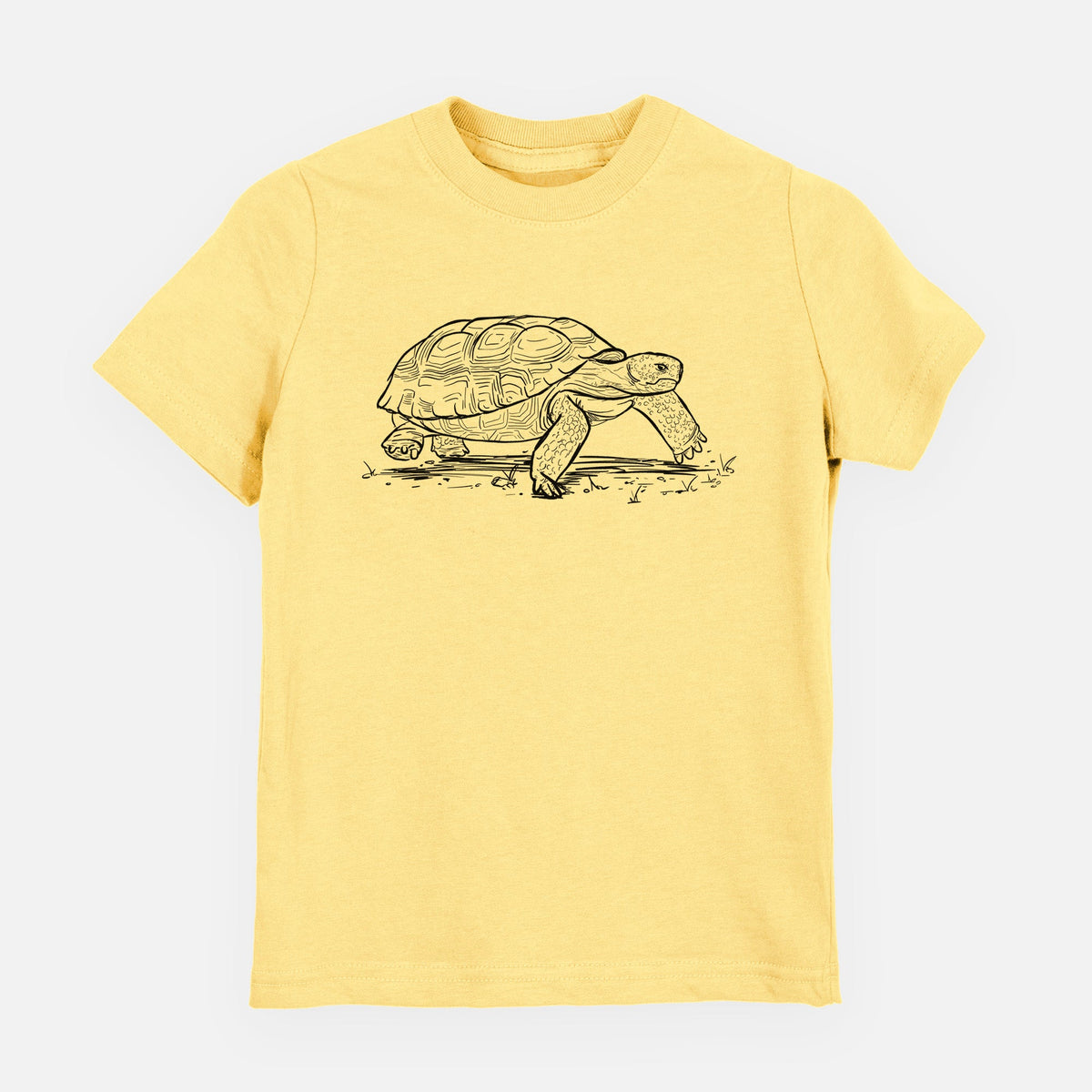 Gopher Tortoise - Gopherus polyphemus - Toddler/Youth Shirt