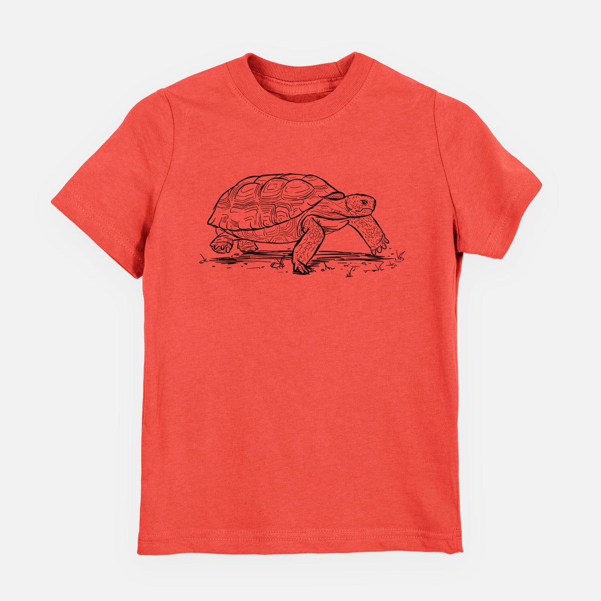 Gopher Tortoise - Gopherus polyphemus - Toddler/Youth Shirt