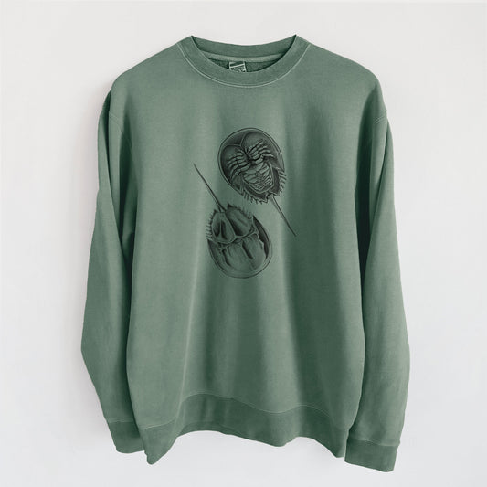 Atlantic Horseshoe Crab - Limulidae polyphemus - Unisex Pigment Dyed Crew Sweatshirt