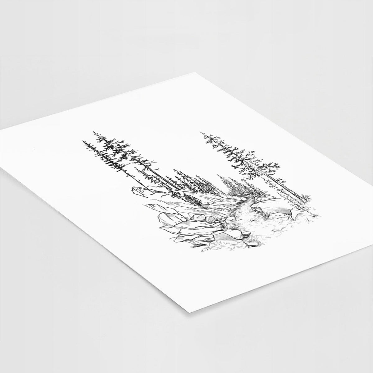 Into the Woods - Hiking - Fine Art Print