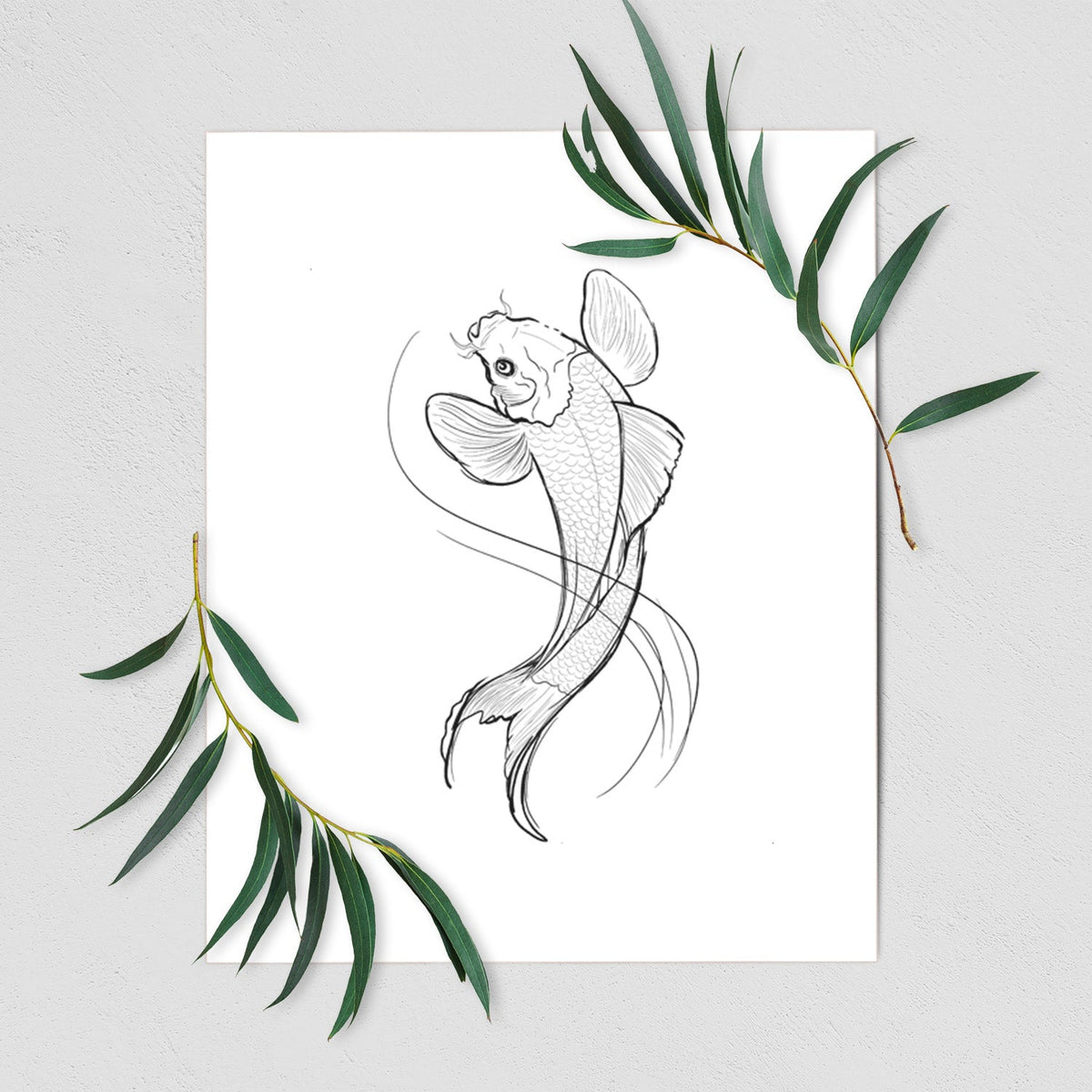 Koi Fish - Cyprinus rubrofuscus - Fine Art Print
