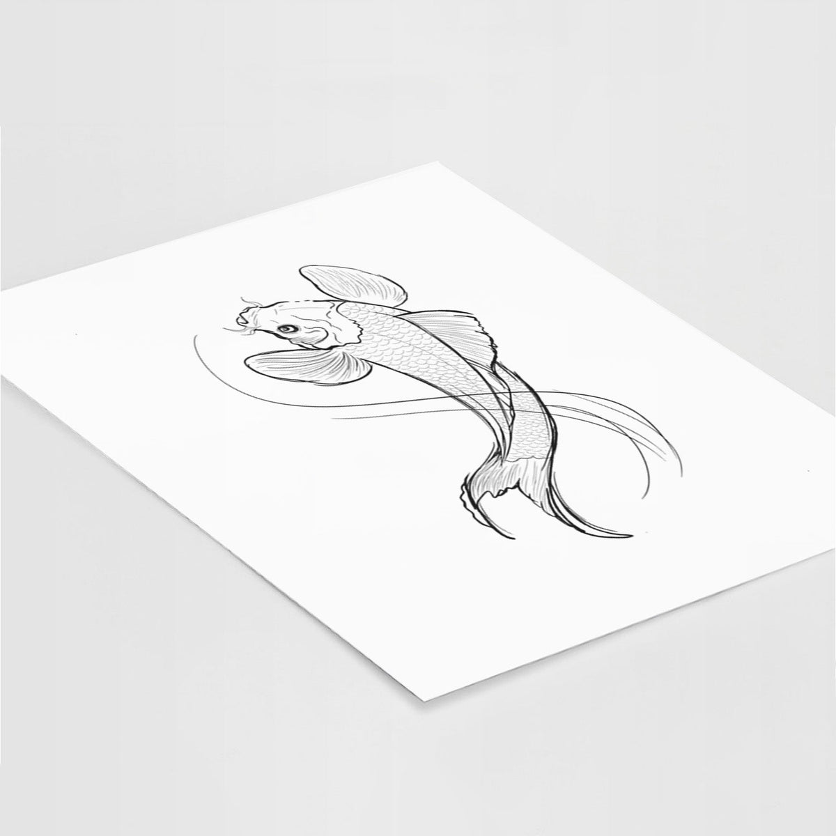 Koi Fish - Cyprinus rubrofuscus - Fine Art Print