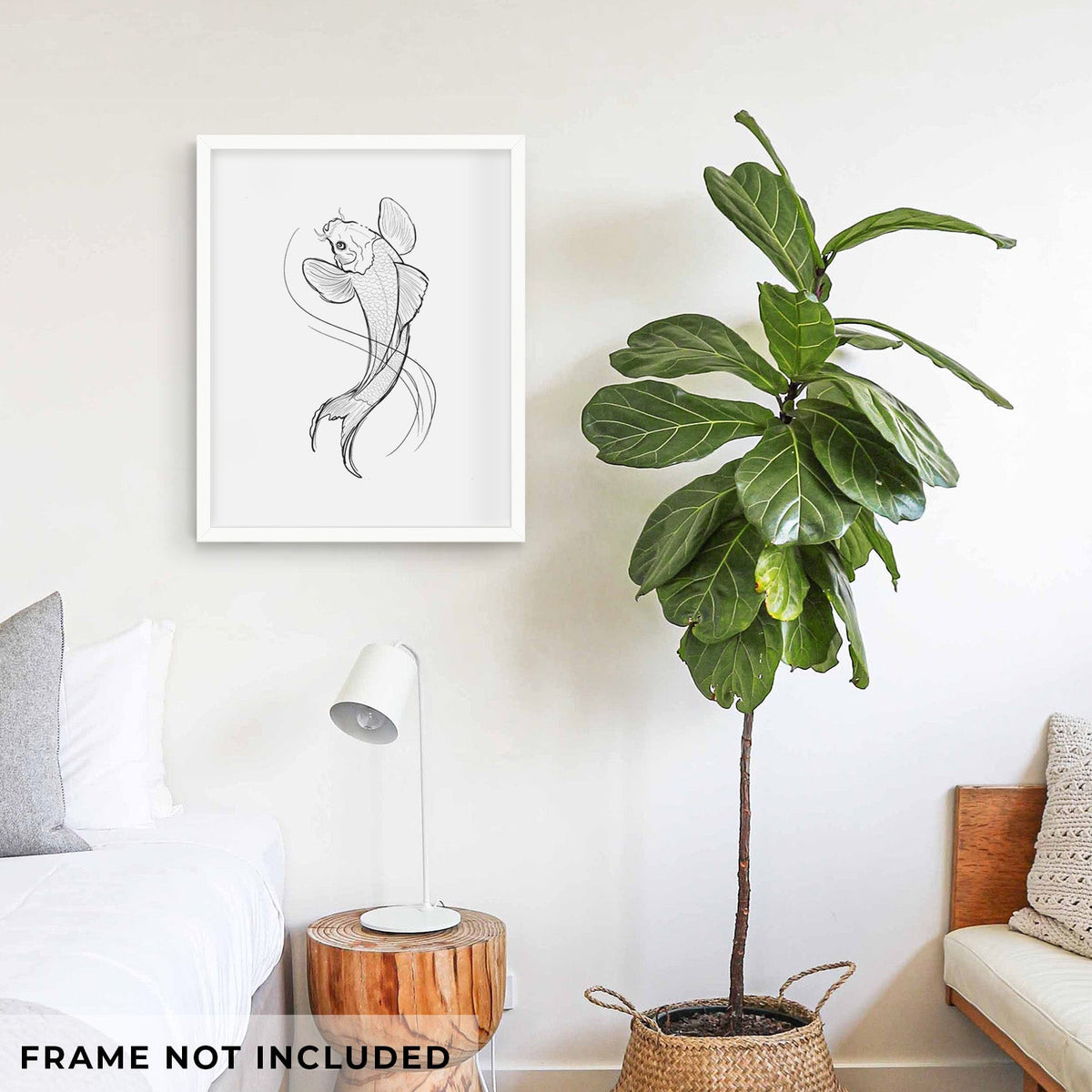 Koi Fish - Cyprinus rubrofuscus - Fine Art Print