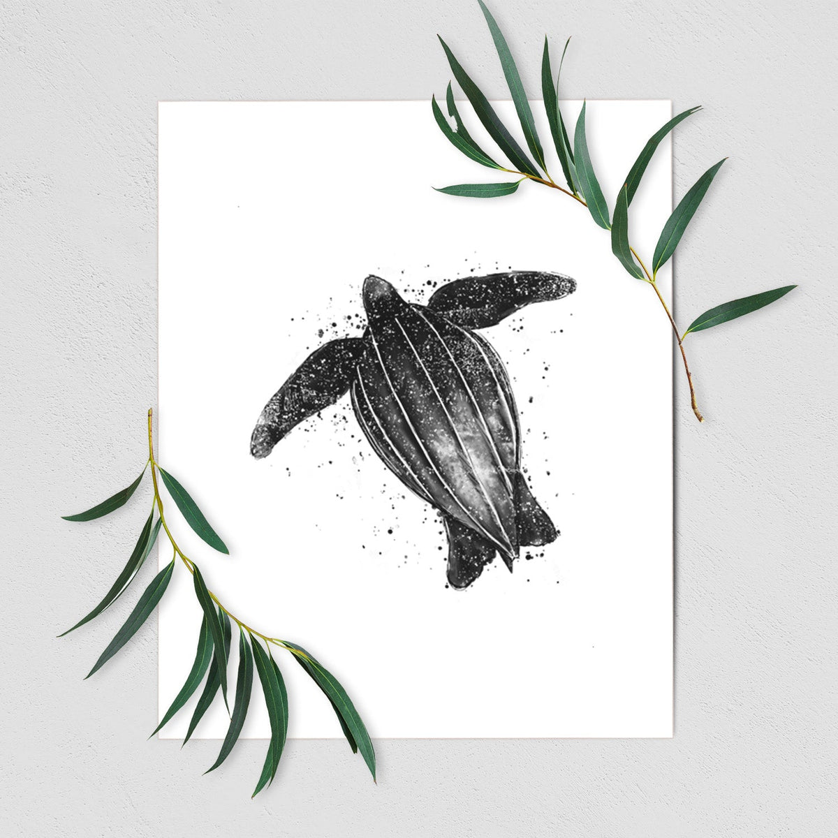 Leatherback - Dermochelys coriacea - Fine Art Print
