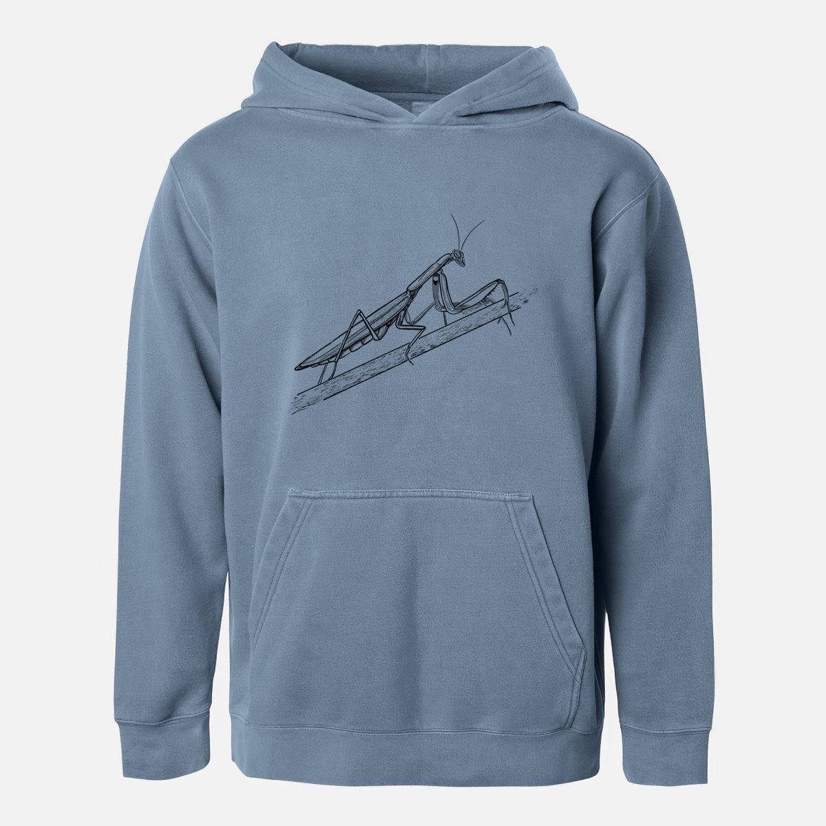 European Mantis - Mantis religiosa - Youth Pigment Dyed Hoodie
