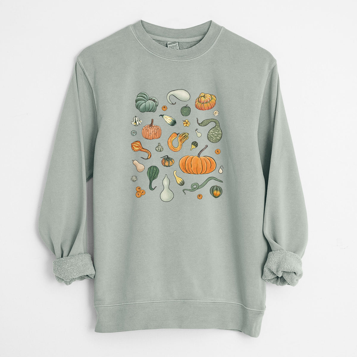 Pumpkin Patch Finds - Unisex Pigment Dyed Crew Sweatshirt