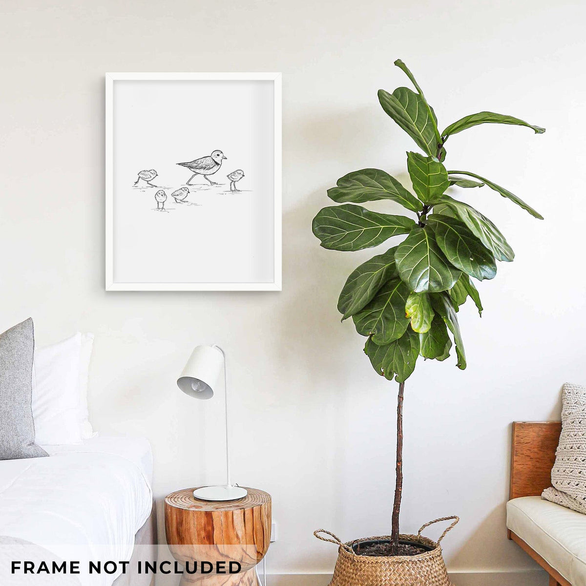 Piping Plovers - Charadrius melodus - Fine Art Print