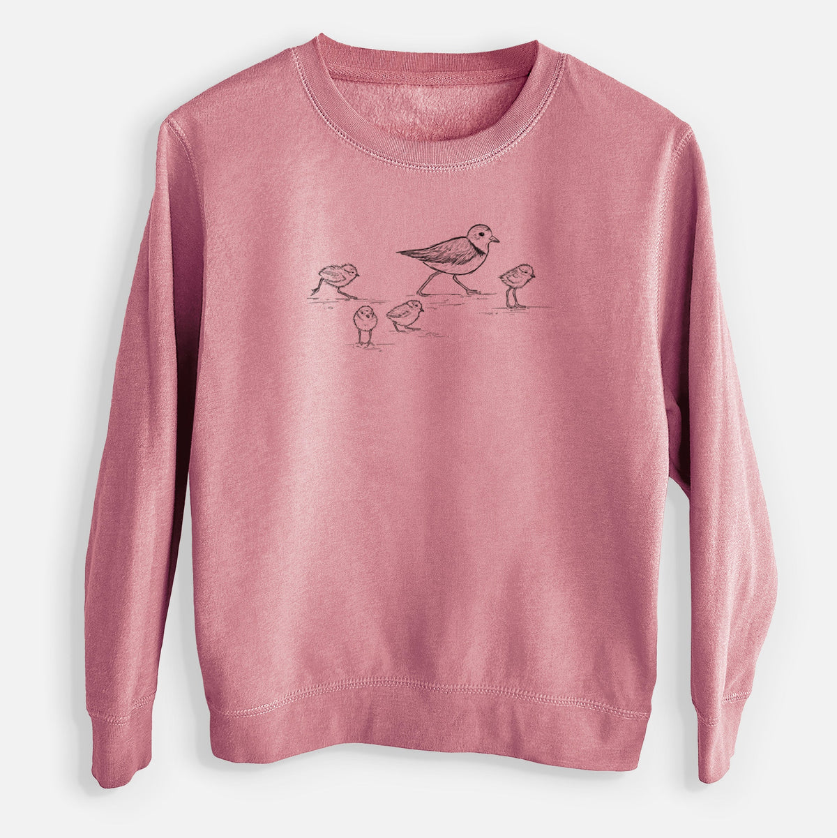 Piping Plovers - Charadrius melodus - Youth Lightweight Crewneck Sweatshirt