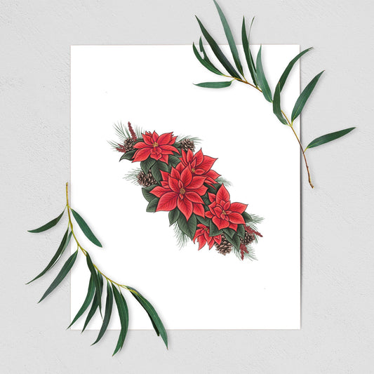 Winter Poinsettias - Euphorbia pulcherrima - Fine Art Print