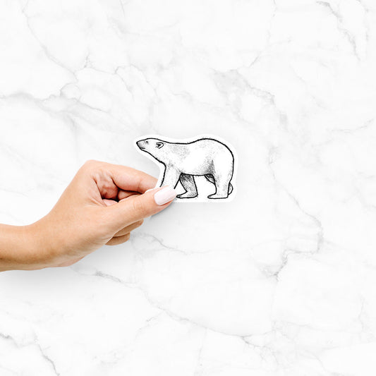 Polar Bear - Decal Sticker