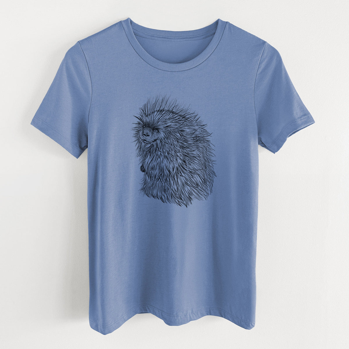 North American Porcupine - Erethizon dorsatum - Women's Lightweight Relaxed Fit 100% Cotton Crewneck