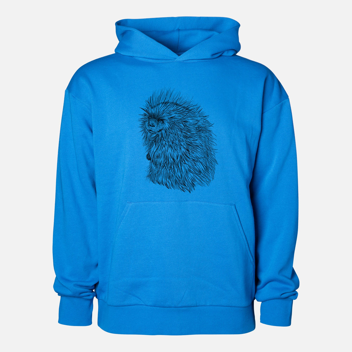 North American Porcupine - Erethizon dorsatum  - Statement Midweight Hoodie