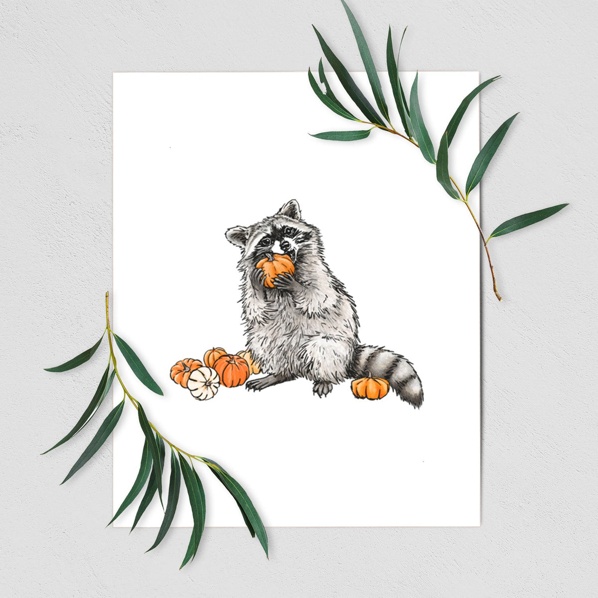 Raccoon Pumpkin Bandit - Fine Art Print