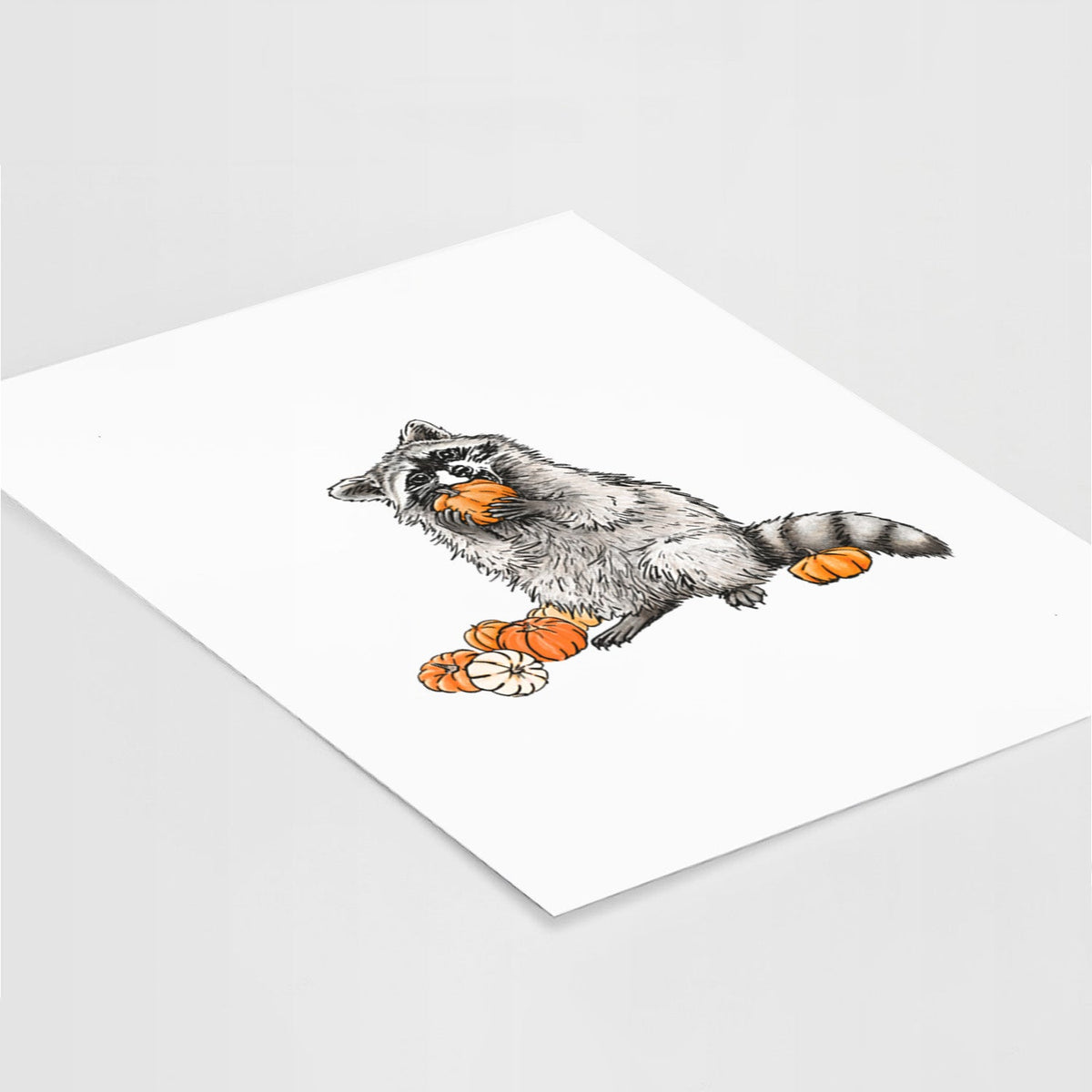 Raccoon Pumpkin Bandit - Fine Art Print