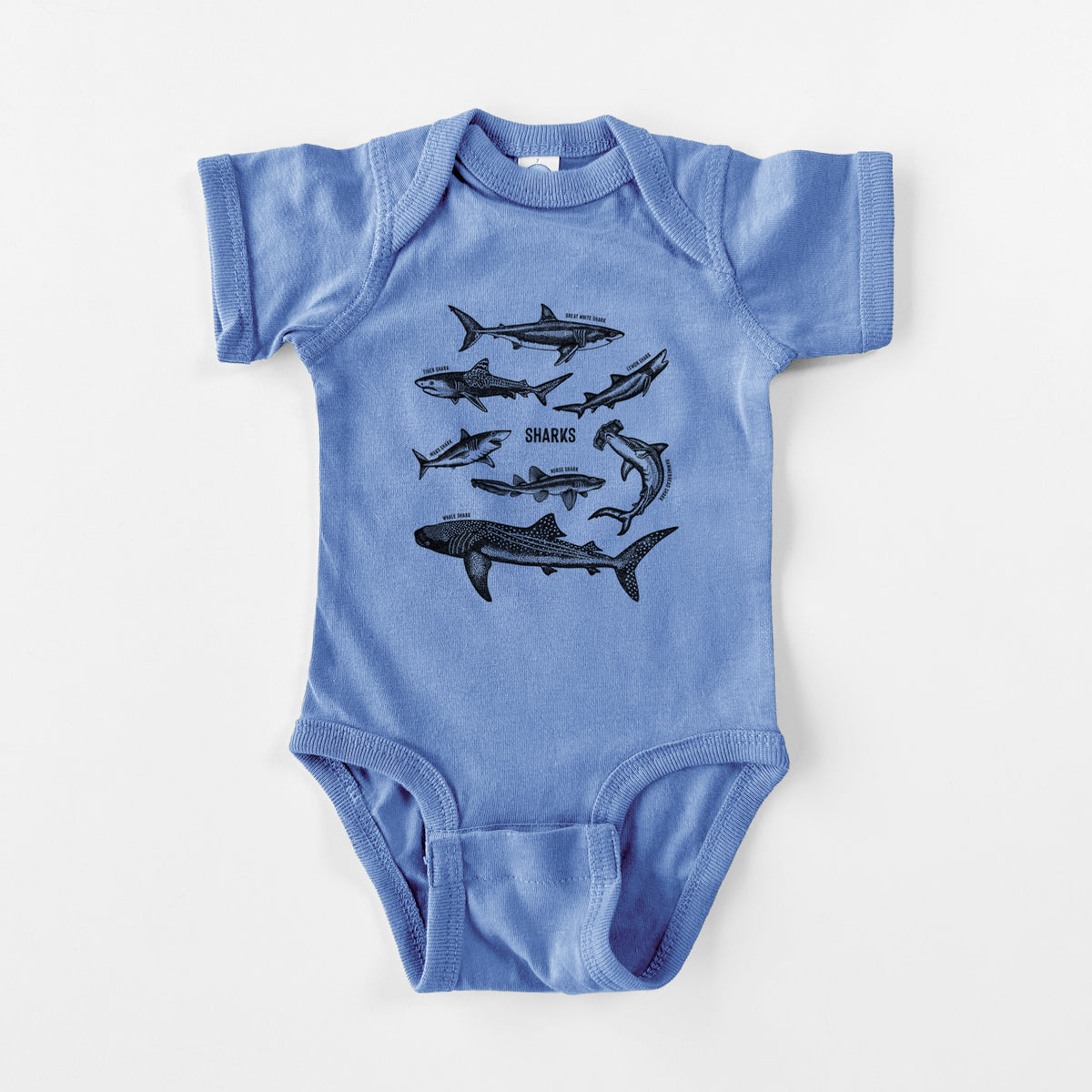 Shark Chart - Baby Fine Jersey Bodysuit