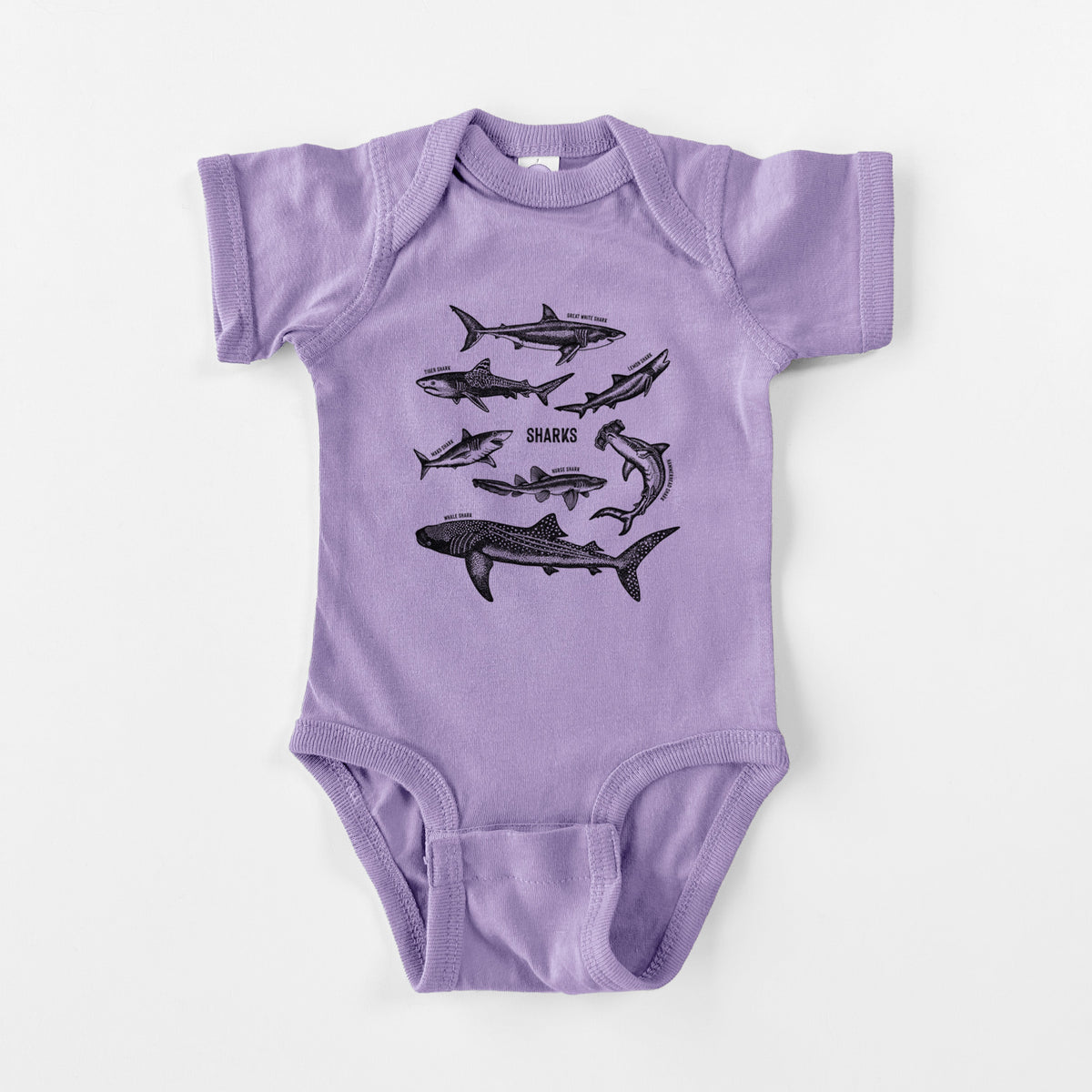 Shark Chart - Baby Fine Jersey Bodysuit