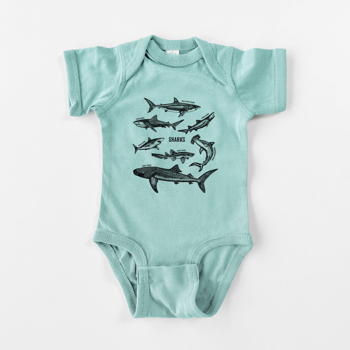 Shark Chart - Baby Fine Jersey Bodysuit