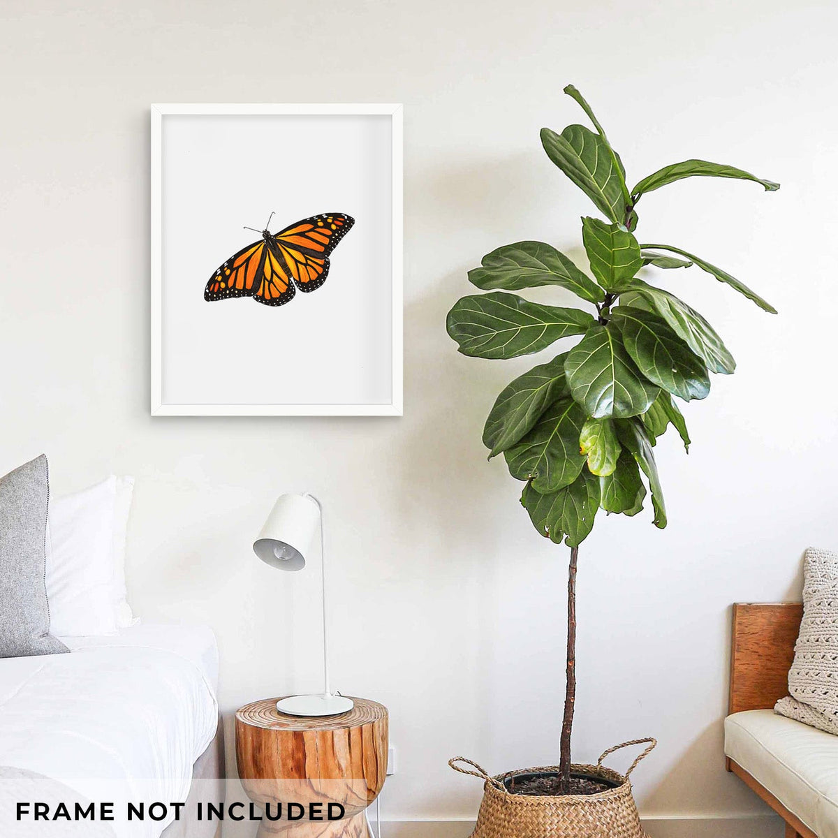Vibrant Monarch - Danaus plexippus - Fine Art Print