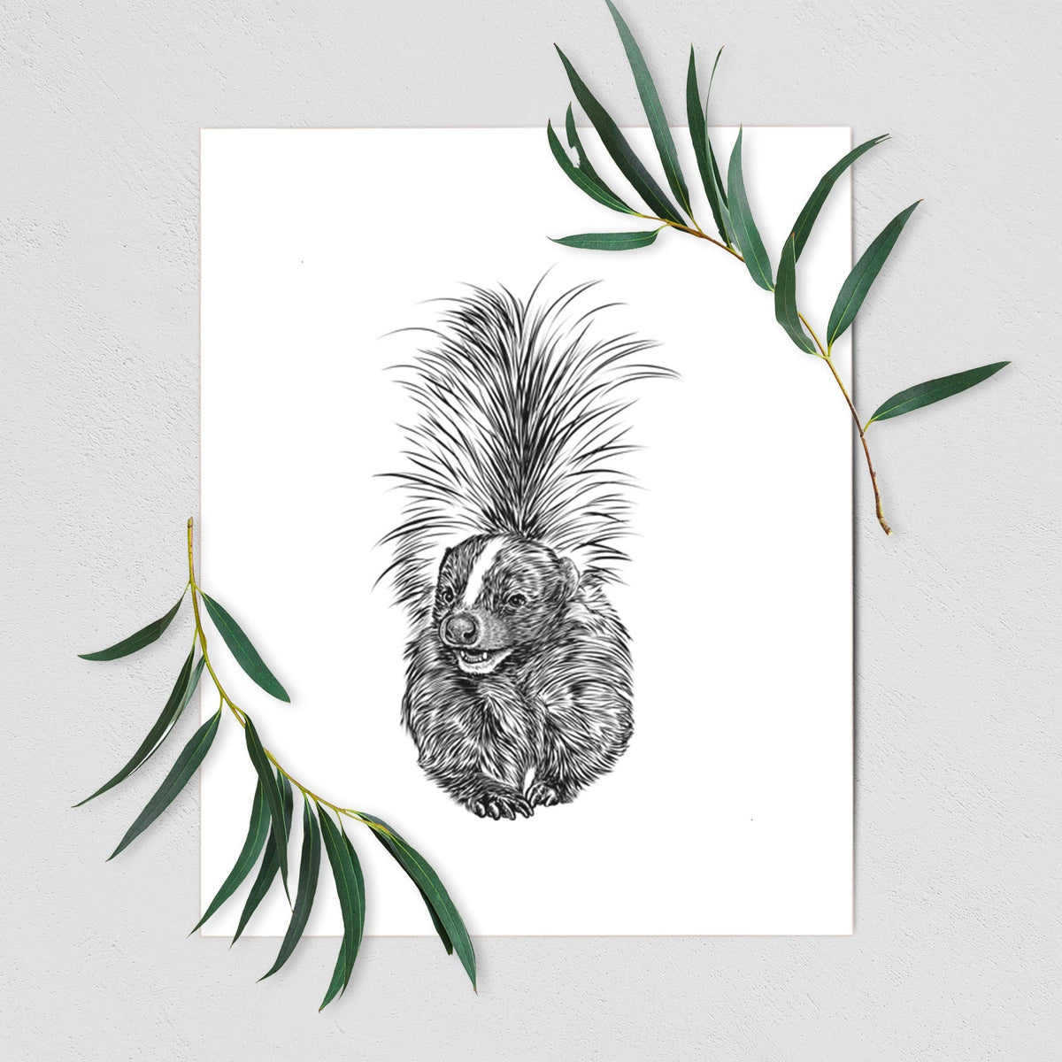 Striped Skunk - Mephitis mephitis - Fine Art Print