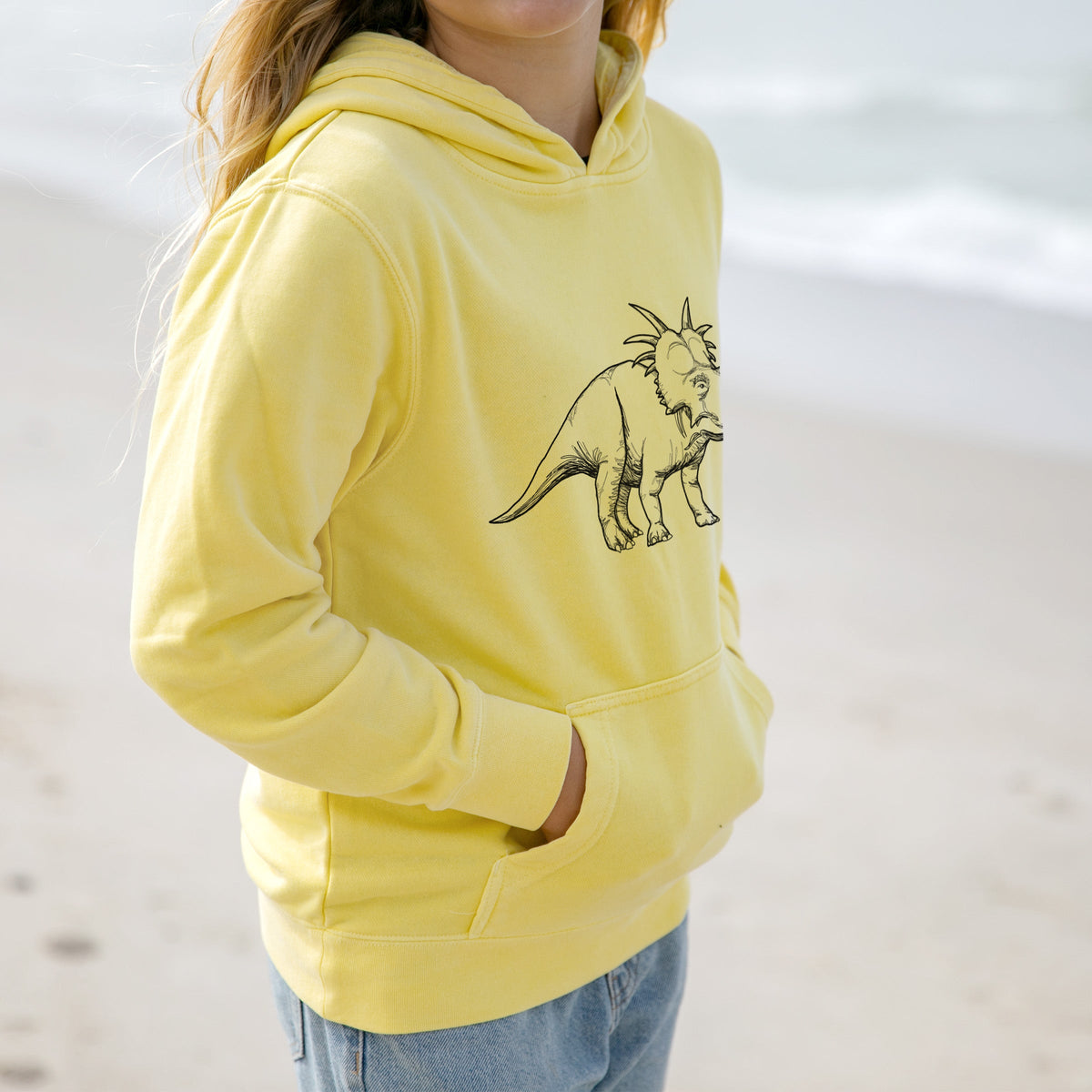 Styracosaurus Albertensis - Youth Pigment Dyed Hoodie