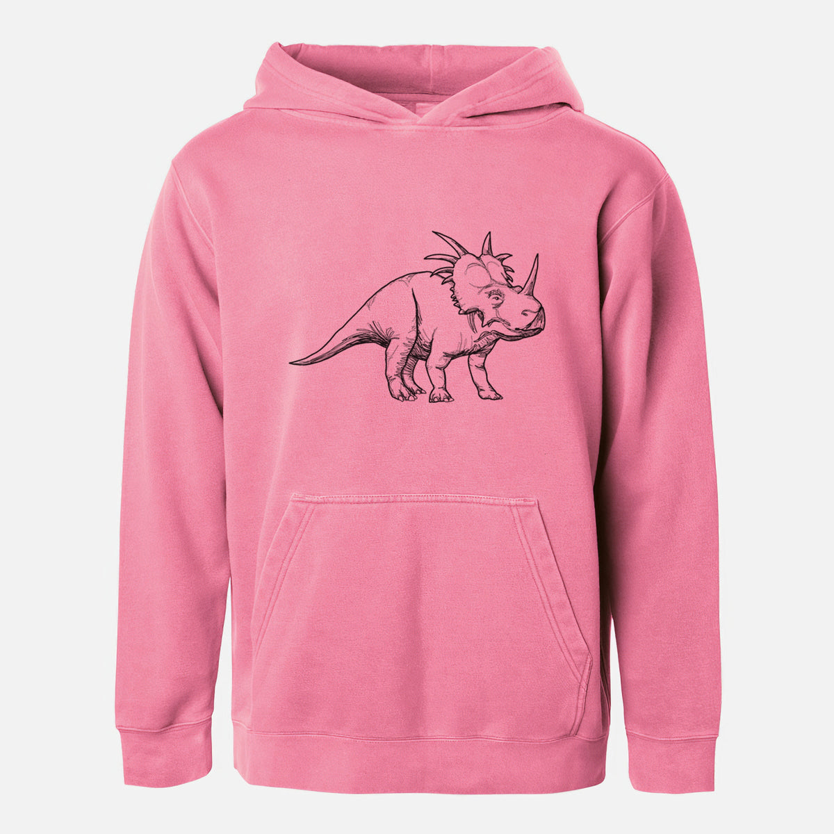 Styracosaurus Albertensis - Youth Pigment Dyed Hoodie