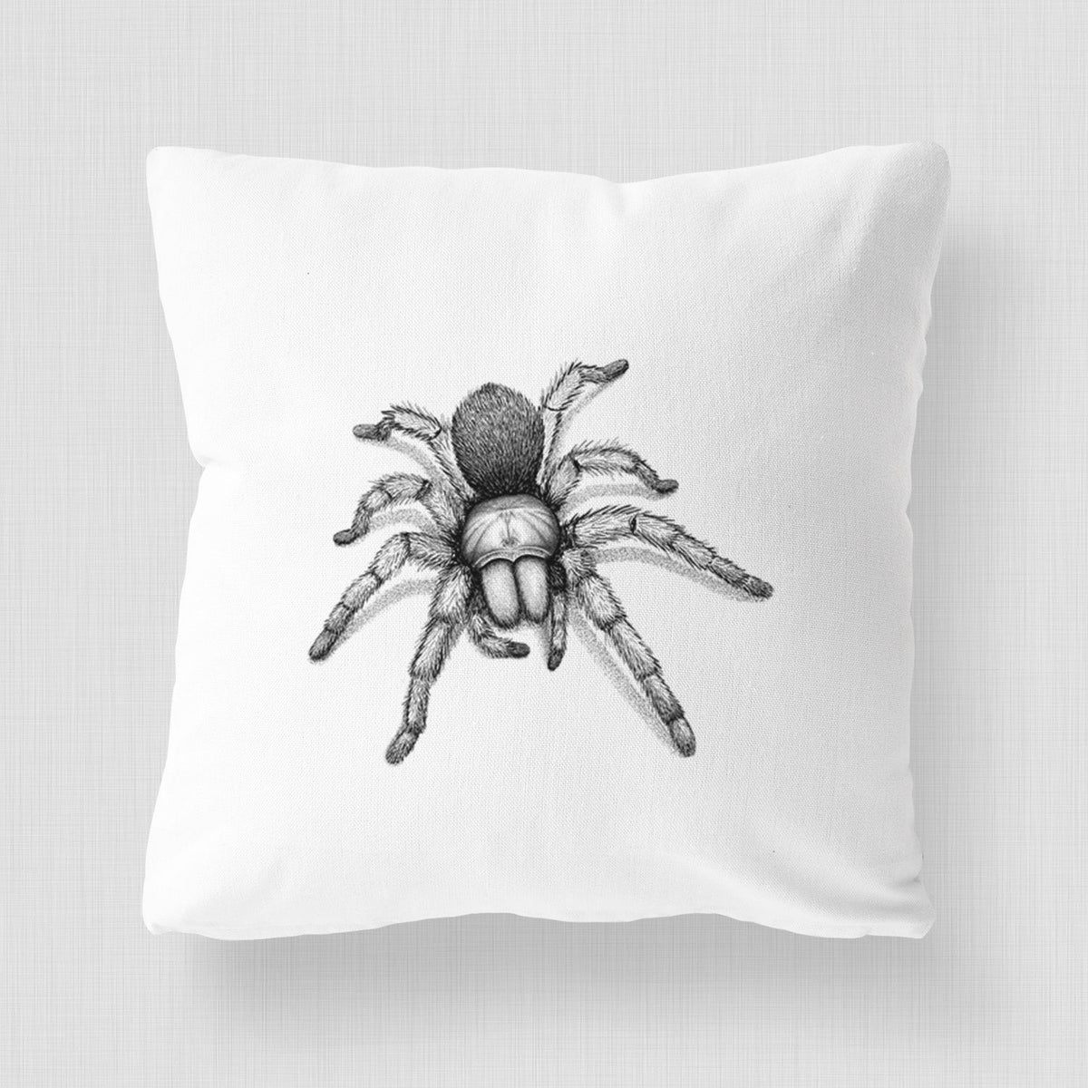 Desert Blonde Tarantula - Aphonopelma chalcodes - Throw Pillow Cover
