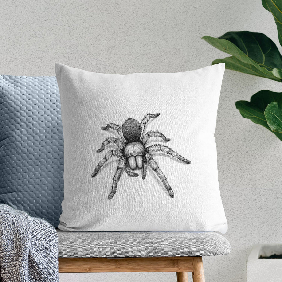 Desert Blonde Tarantula - Aphonopelma chalcodes - Throw Pillow Cover