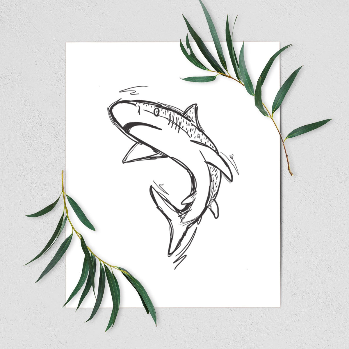 Tiger Shark - Fine Art Print