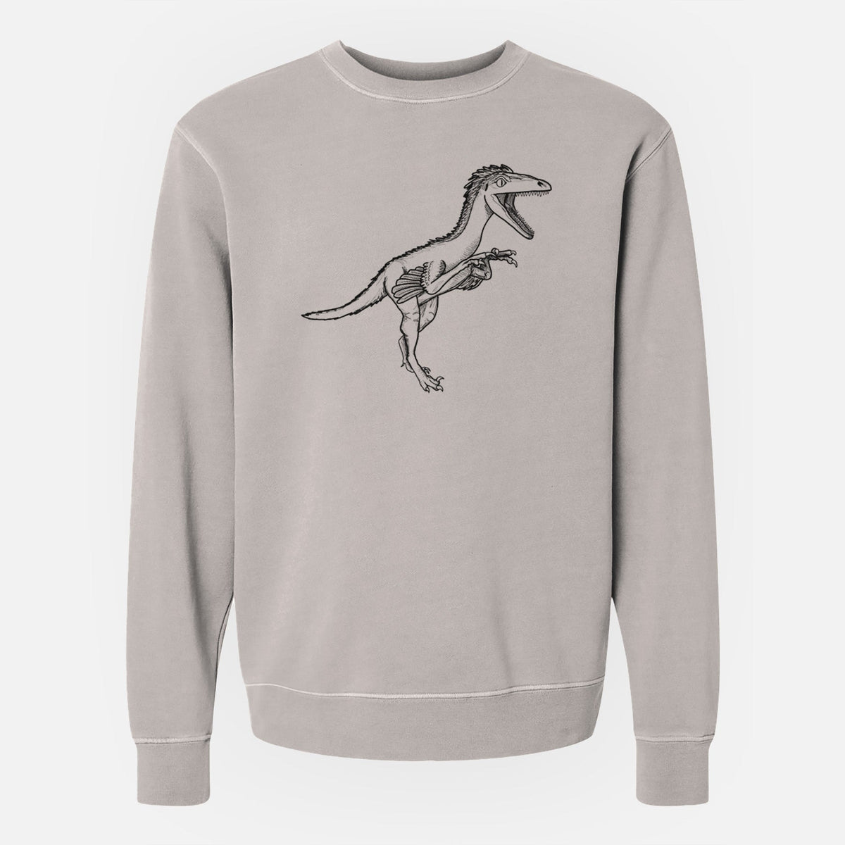 Troodon Formosus - Unisex Pigment Dyed Crew Sweatshirt