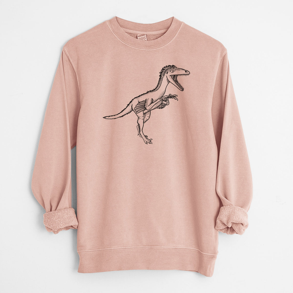 Troodon Formosus - Unisex Pigment Dyed Crew Sweatshirt