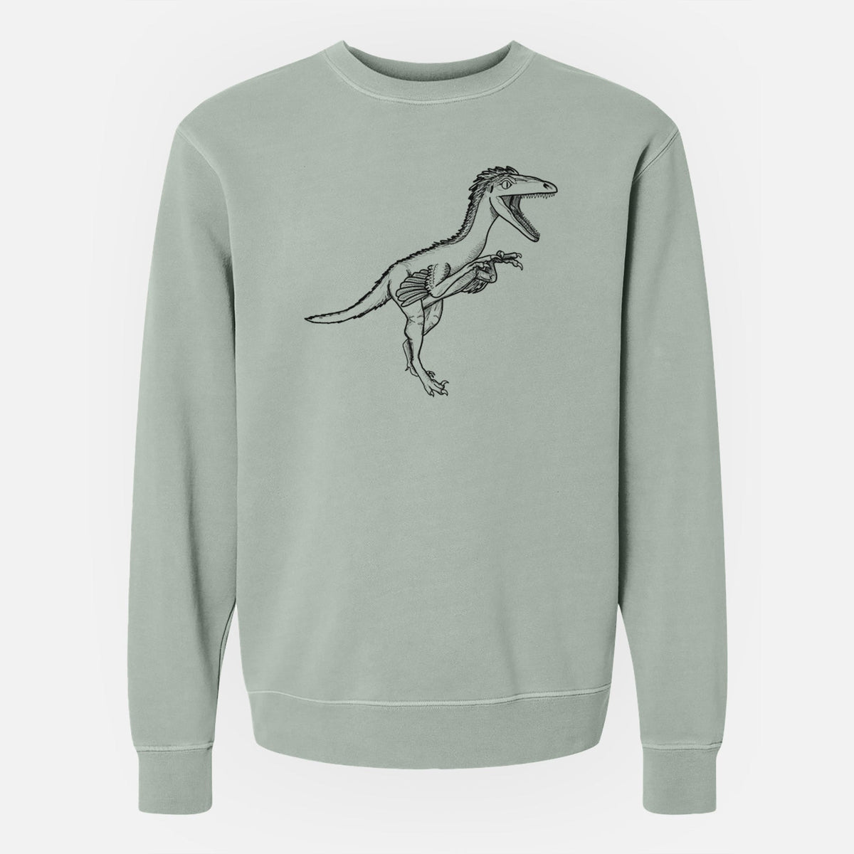 Troodon Formosus - Unisex Pigment Dyed Crew Sweatshirt