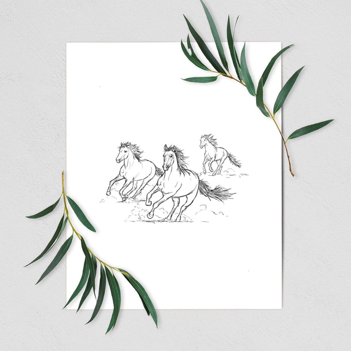 Wild Horses Running - Fine Art Print